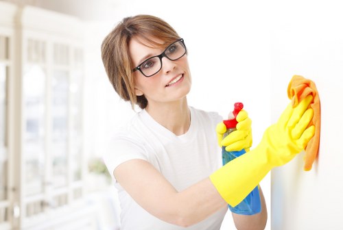 Detailed kitchen cleaning before moving into a Belgravia property