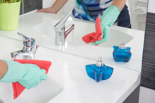 Local cleaner maintaining a Belgravia apartment with care