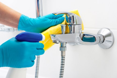Rainwater gutter cleaning service for properties in Belgravia