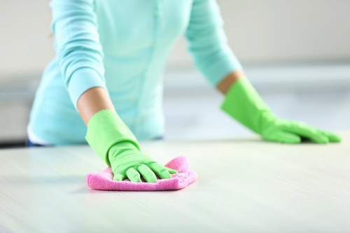 Professional oven cleaning service for a Belgravia kitchen
