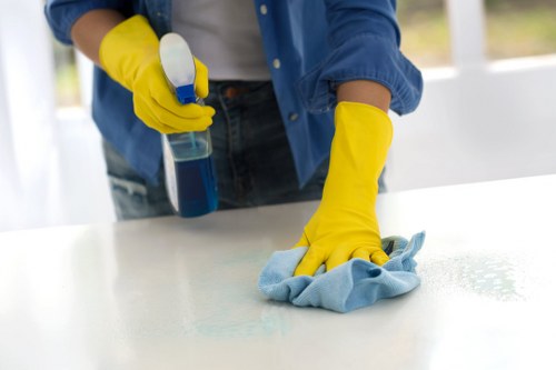 Detailed exterior and interior window cleaning service in Belgravia